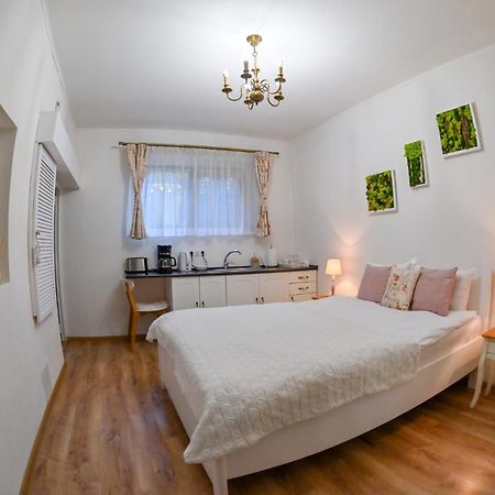 Transilvania Apartment Sibiu Exterior foto