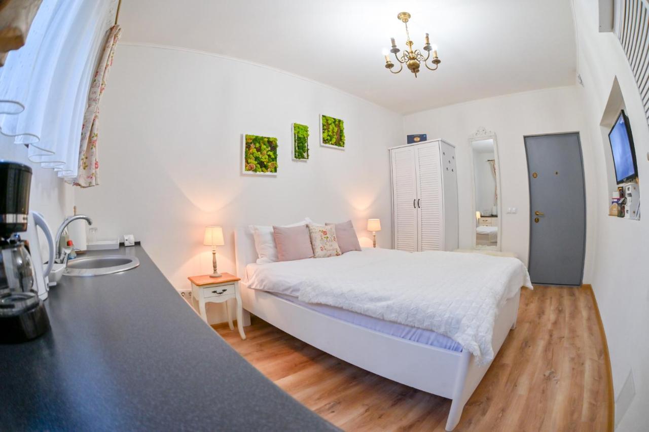 Transilvania Apartment Sibiu Exterior foto